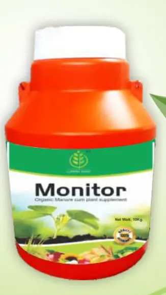 monitor