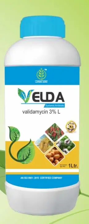 VELDA