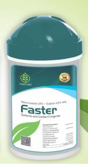 FASTER