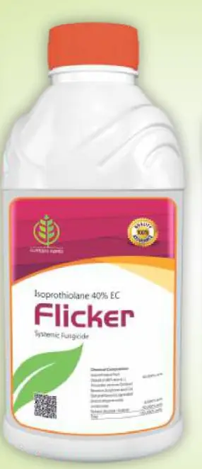 FLICKER