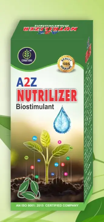 A2Z