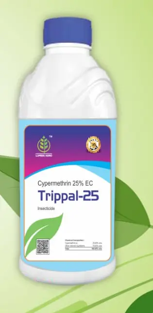 TRIPPAL 25