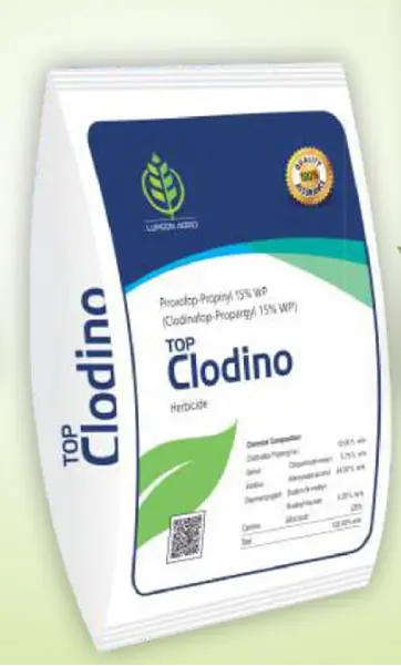 CLODINA