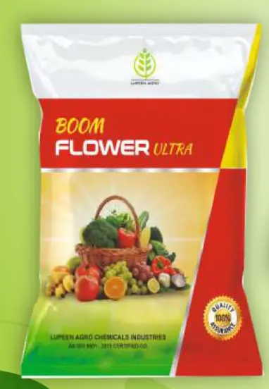 BOOM FLOWER