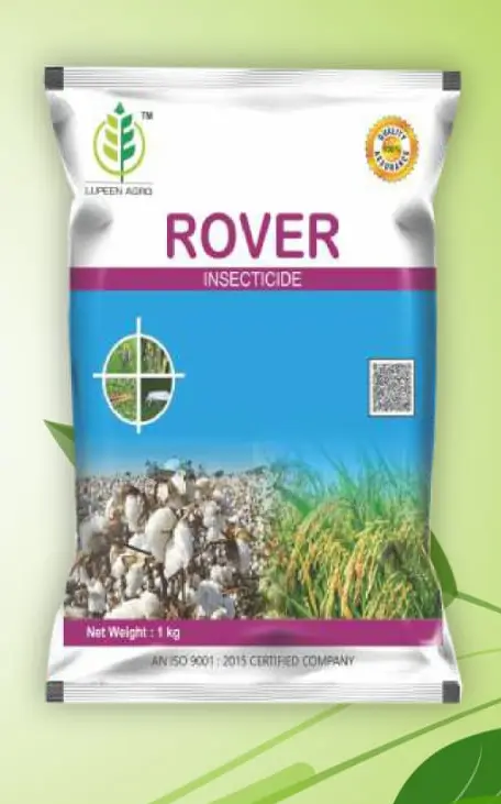 ROVER