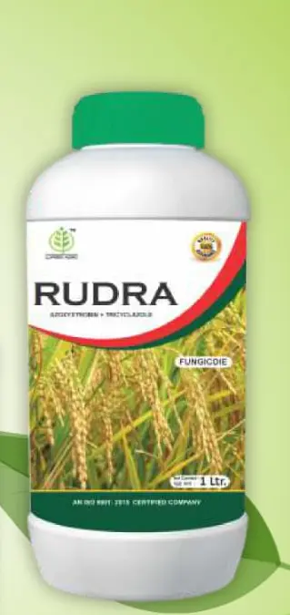 RUDRA