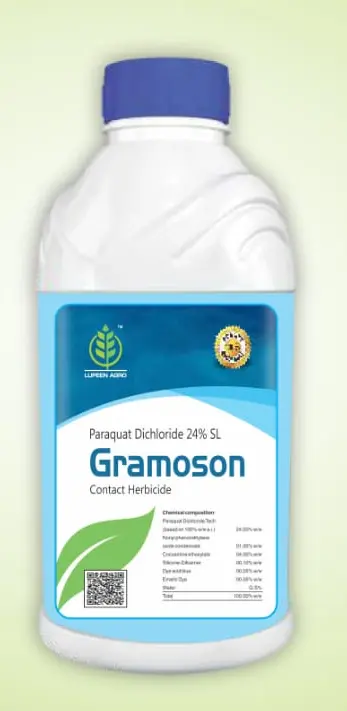 GRAMSON