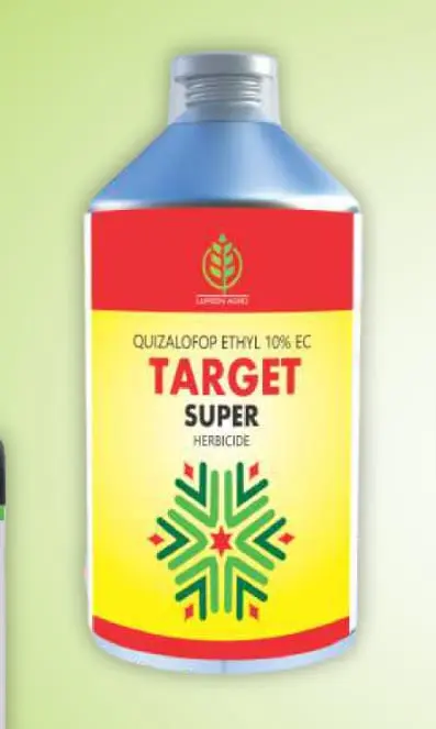 TARGET SUPER