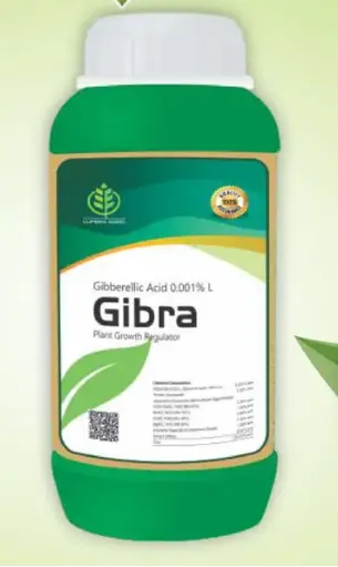 gibra