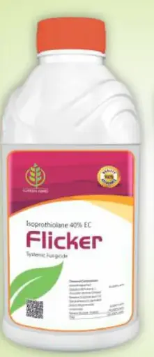FLICKER