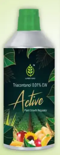 ACTIVE