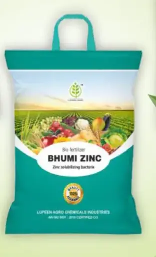 bhumi zinc