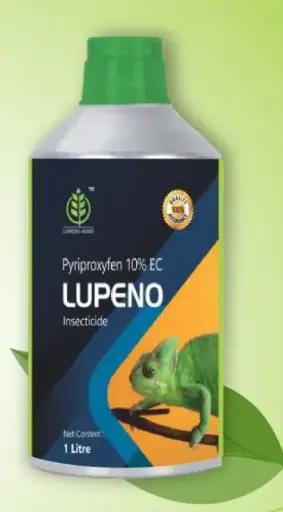 LUPENO