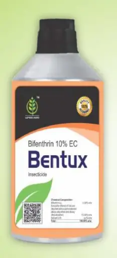 BENTUX