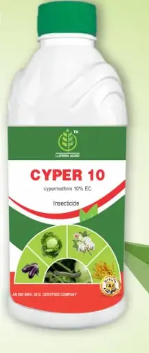 CYPER 10