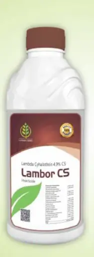 LAMBOUR CS