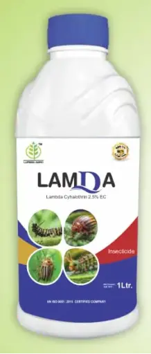 LAMDA