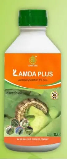 LAMDA PLUS