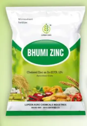 bhumi zinc
