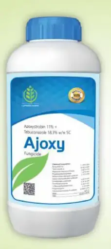 AJOXY