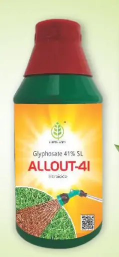 ALLOUT 41