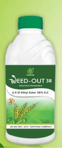 WEED OUT 38