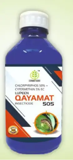 QAYAMAT