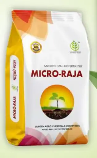 MICRORAJA