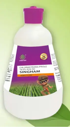 SHIMGAM