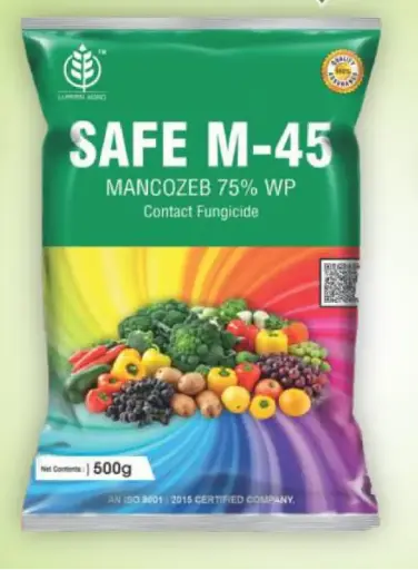 SAFE M45