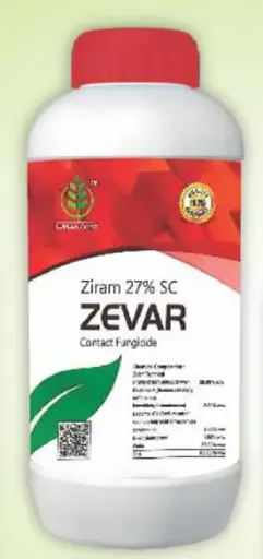 ZEVER
