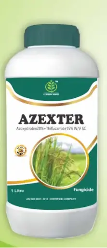 AZEXTER