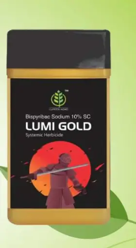 LUMI GOLD