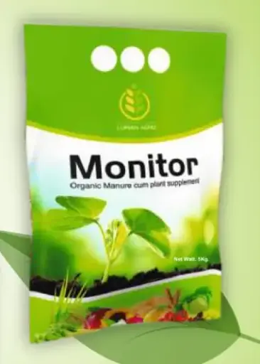 monitor